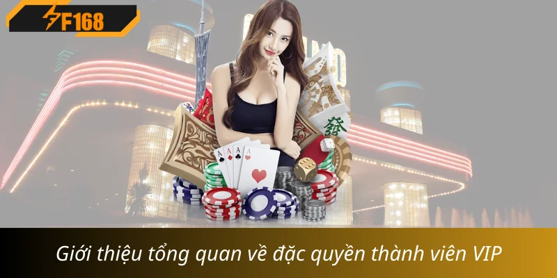 Giới thiệu tổng quan về đặc quyền thành viên VIP Giới thiệu tổng quan về đặc quyền thành viên VIP